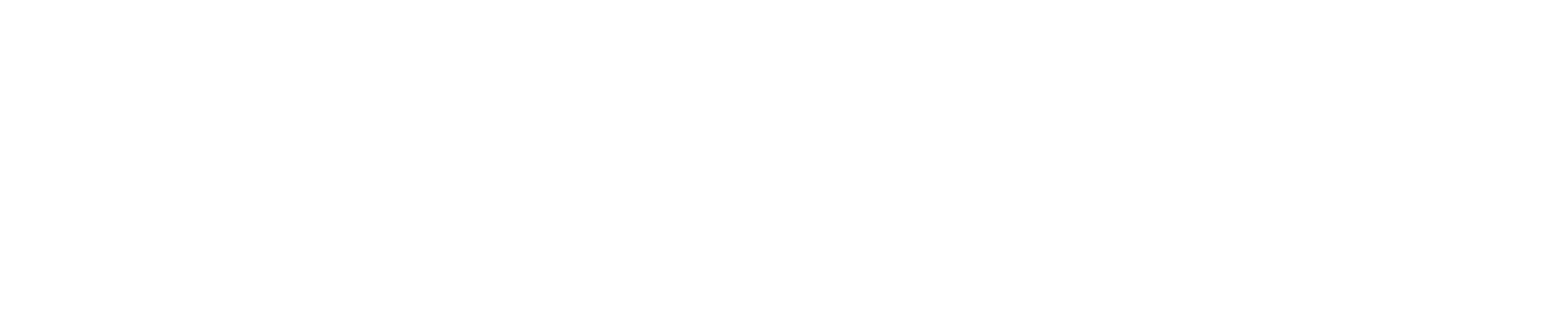 SURELYA — Access Control & Security